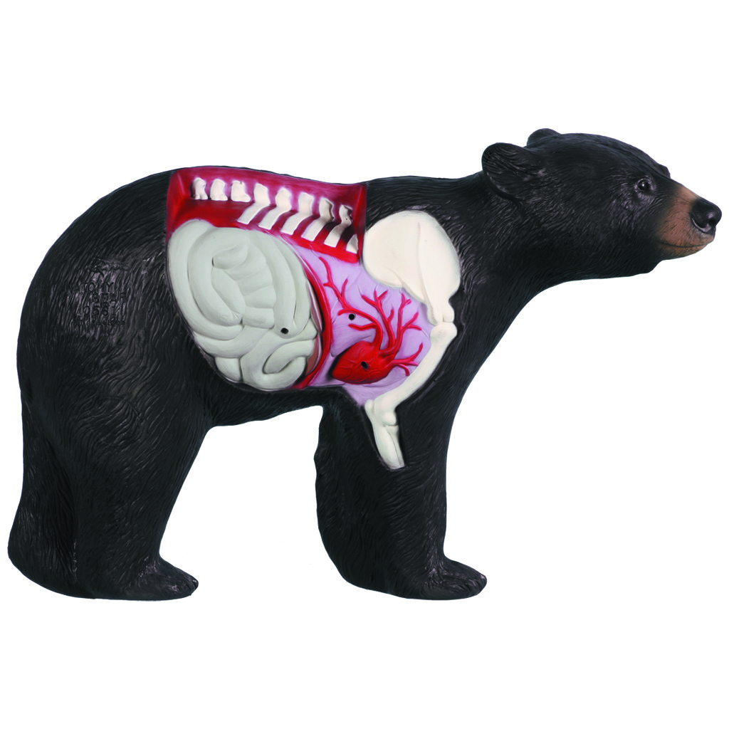 Rinehart Anatomy Bear Target Drop Ship ONLY