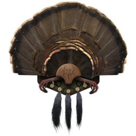 Mountain Mikes Beard Collector Display 5 Beards