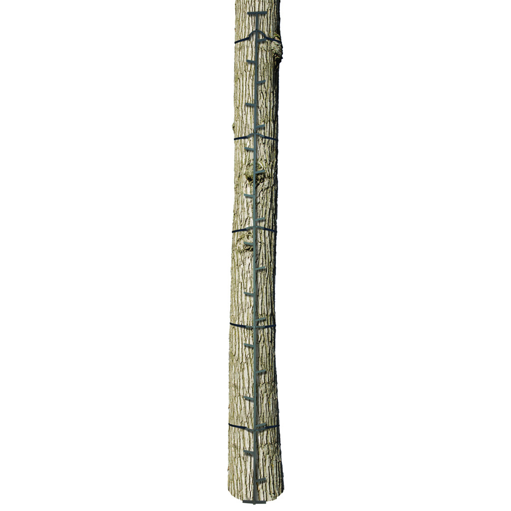 Big Game The Quick-Stick Climbing Stick 20 ft.
