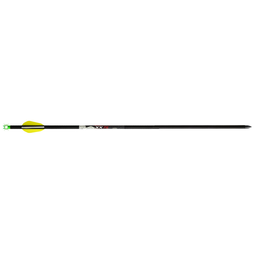 Wicked Ridge Lighted Alpha Brite Arrows Aluminum 20 in. 3 pk.