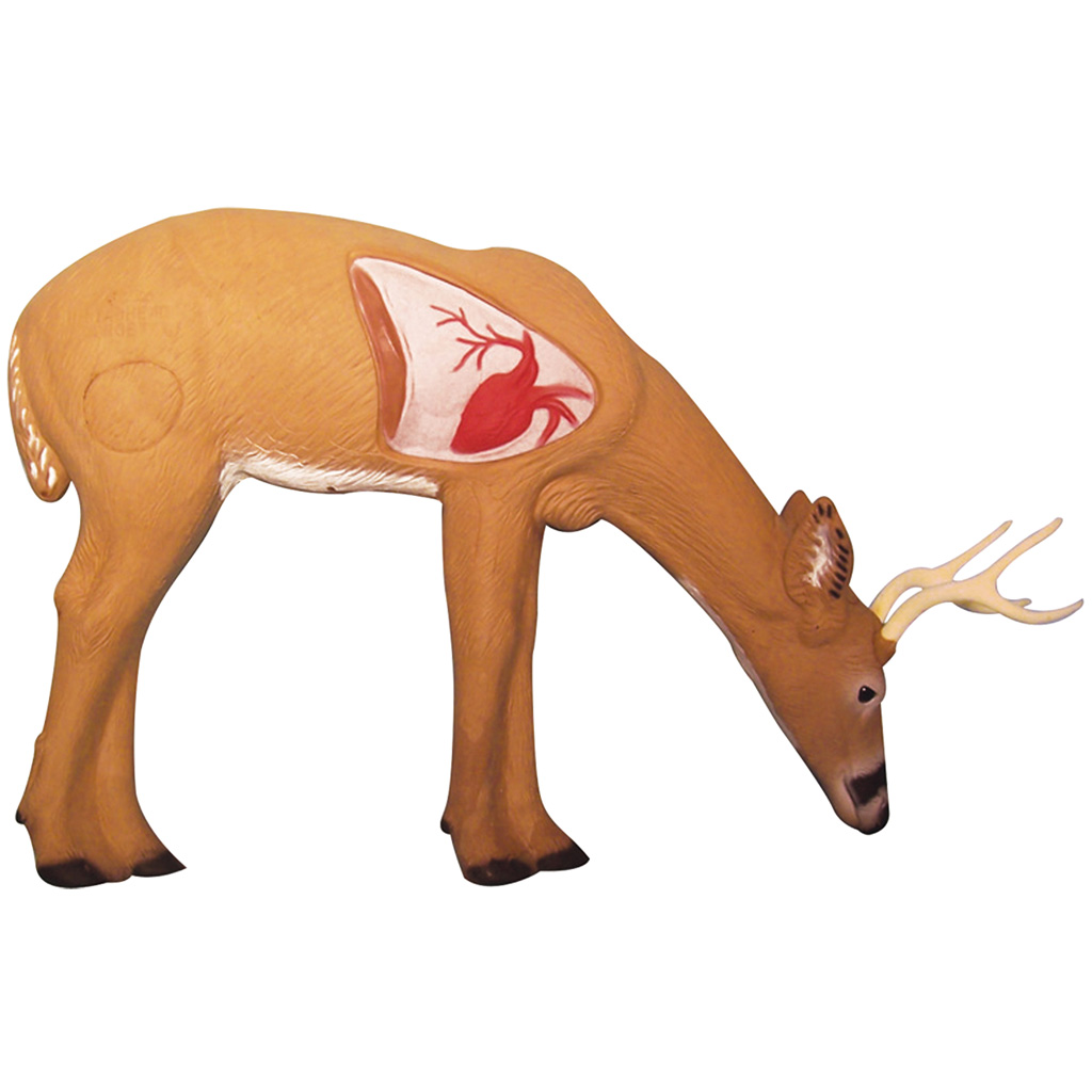 Rinehart Anatomy Deer Target Drop Ship ONLY