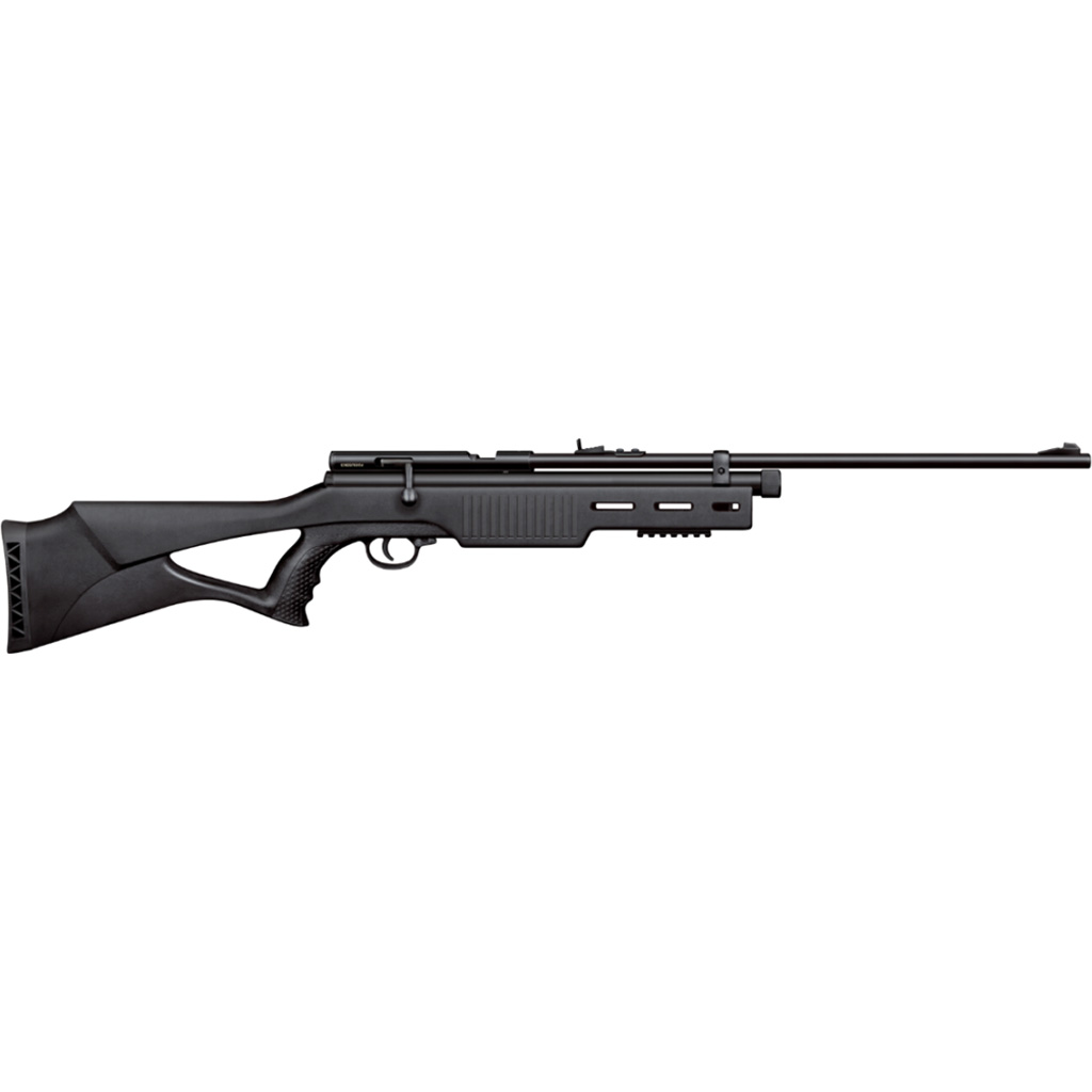 Beeman Sportsman Series CO2 Rifle .22