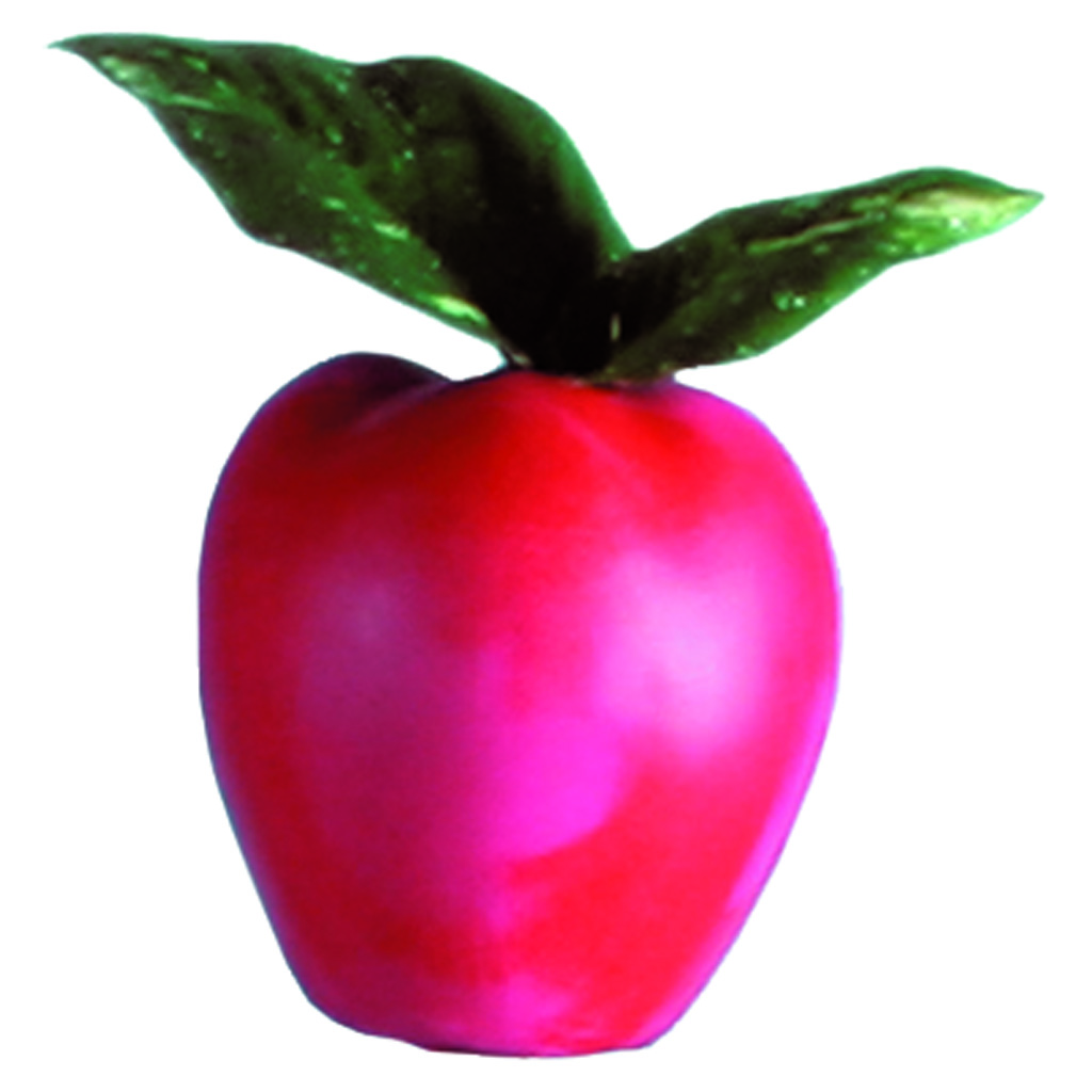 Rinehart Apple Target Drop Ship ONLY