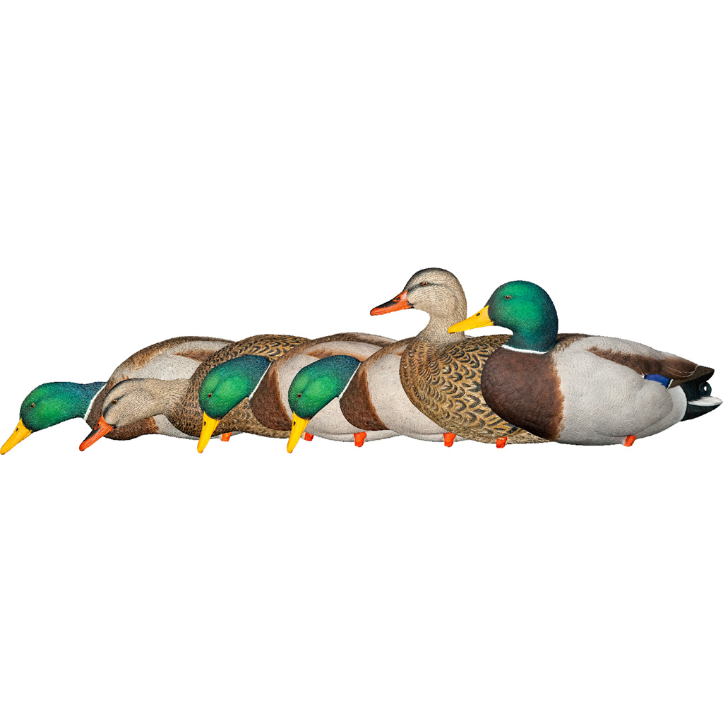 AvianX AXP Fusion Duck Decoys Mallards 6 pk.